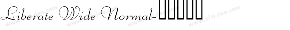 Liberate Wide Normal字体转换